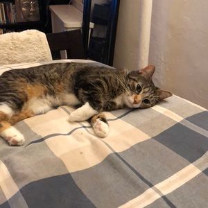 Meet your Posher, Jenny